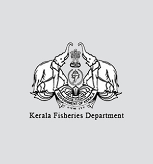 Joint Liability Group (JLG) Project