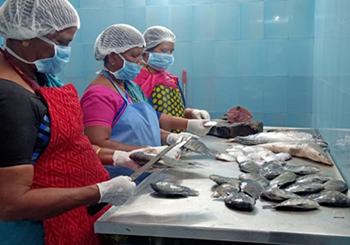 Joint Liability Group (JLG) Project